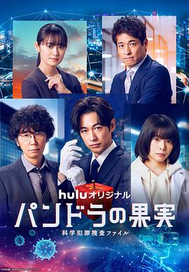 铜梁区seo优化项目